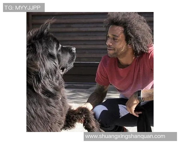 足球明星与他们忠实狗狗的温馨故事与精彩瞬间 足球明星与他们忠实狗狗的温馨故事与精彩瞬间