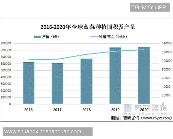 启明星潜在篮球明星的崛起与未来发展趋势分析